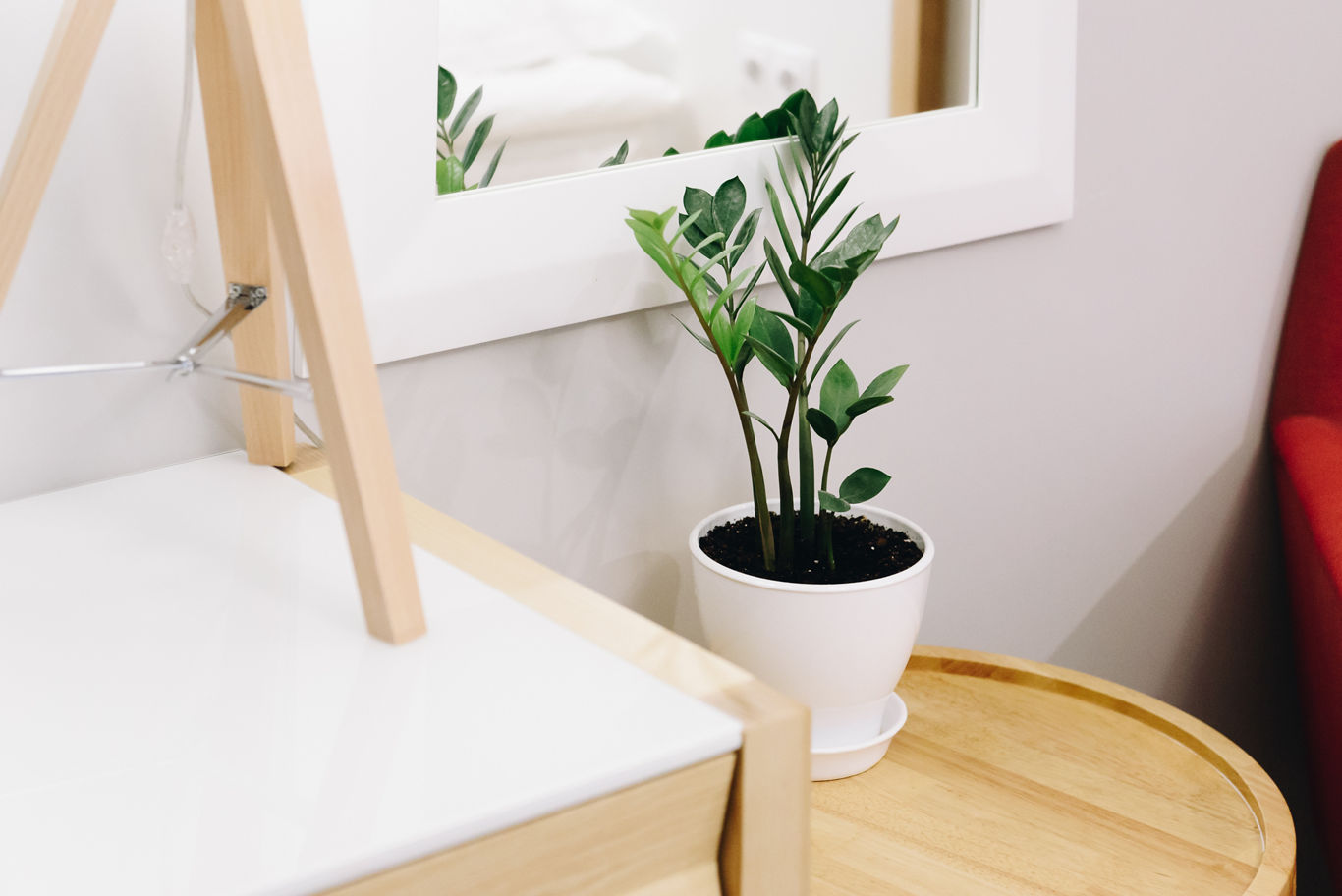 Plant on Side Table | Blog | Greystar